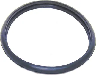 URO Engine Coolant Thermostat Seal - NCA2246BA