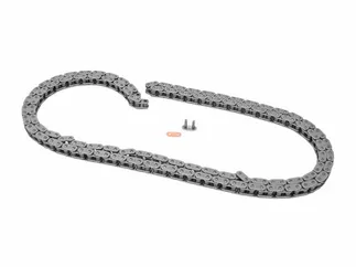iwis Engine Timing Chain - 0019976894