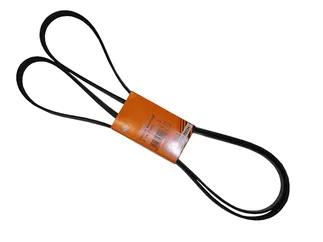 Continental ContiTech Serpentine Belt - 0109977392
