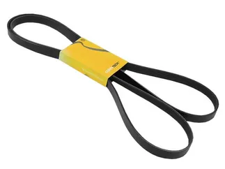 Continental ContiTech Serpentine Belt - 0109978992