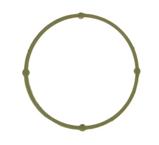 Ajusa Fuel Injection Plenum Gasket - 6420980180