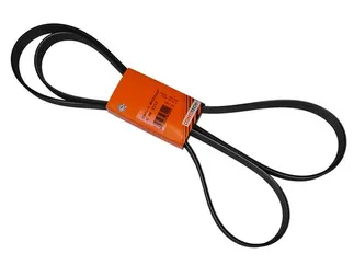 Continental ContiTech Serpentine Belt - 0119976492