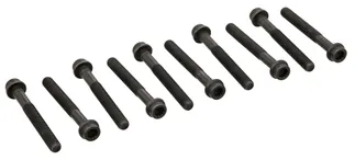 ElringKlinger Engine Cylinder Head Bolt Set - 1029900810K10