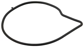 ElringKlinger Engine Water Pump Gasket - LR006072