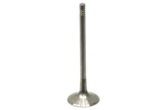 TRW Engine Intake Valve - 06D109601M