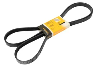 Continental Belt: Water Pump, AC, Alternator, Power Steering - 06E903137T