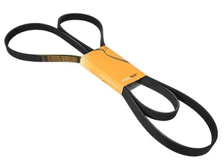 Continental ContiTech Accessory Drive Serpentine Belt - 077903137D