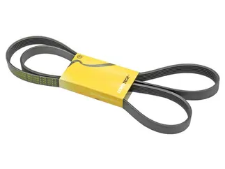 Continental A/C & Power Steering Belt - 078903137BJ