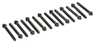 ElringKlinger Engine Cylinder Head Bolt Set - 11121721938