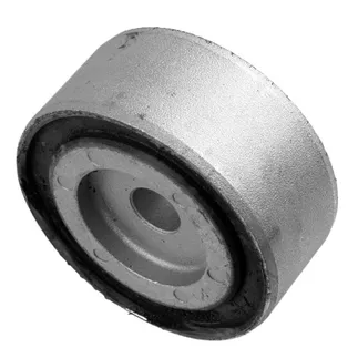 LEMFORDER Rear Differential Mount Bushing - 2203510942