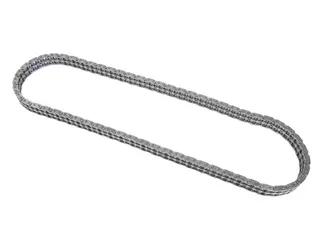 iwis Engine Timing Chain - 11311739480