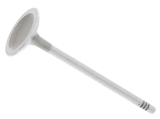 TRW Engine Intake Valve - 11347533884