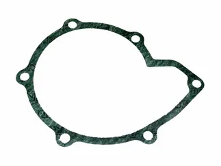 Victor Reinz Engine Water Pump Gasket - 11511265654