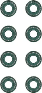 Victor Reinz Intake and Exhaust Engine Valve Stem Oil Seal Set - 11349059171