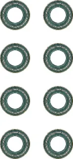 Victor Reinz Engine Valve Stem Oil Seal Set - 1170500367
