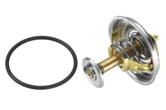 Wahler Engine Coolant Thermostat - 1162000315