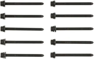 Victor Reinz Engine Cylinder Head Bolt Set - 06A198384C