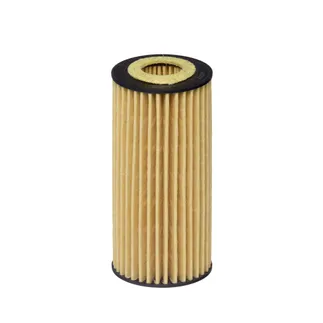 Hengst Engine Oil Filter - 95811556201 