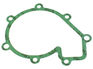 Victor Reinz Engine Water Pump Gasket - 6012010380