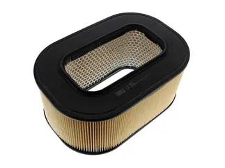 MAHLE Air Filter - 6030940204