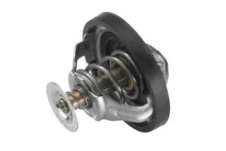 Wahler Engine Coolant Thermostat Kit - 31319608