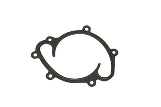 Victor Reinz Engine Water Pump Gasket - 6422010180