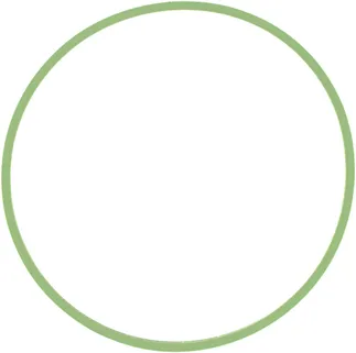 Victor Reinz Fuel Injection Throttle Body Mounting Gasket - 11617528174