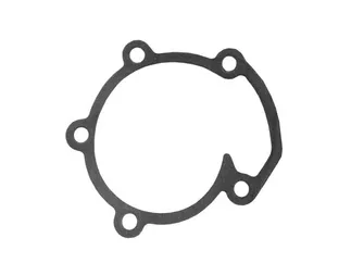 Victor Reinz Engine Water Pump Gasket - 7566516