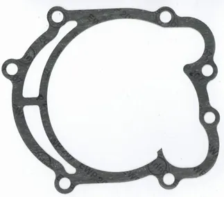 ElringKlinger Engine Water Pump Gasket - 1162010780