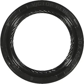 Victor Reinz Engine Camshaft Seal - 0189977947