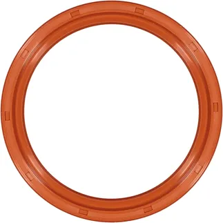 Victor Reinz Engine Crankshaft Seal - 0019978747