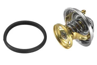 Wahler Engine Coolant Thermostat - 6022000015