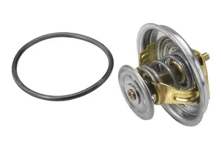 Wahler Engine Coolant Thermostat - 078121113G