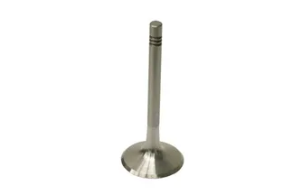 TRW Engine Intake Valve - 91110541120