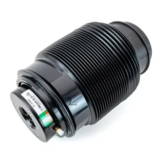 Arnott Rear Air Suspension Spring - 1673200025