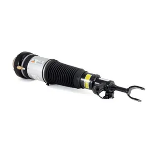 Arnott Front Left Air Suspension Strut - AS-2744