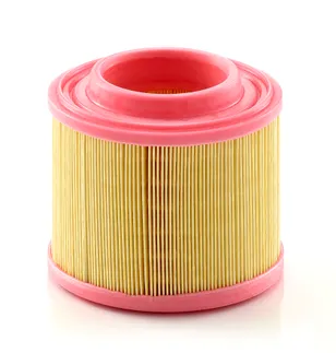 MANN FILTER Air Filter - 07L133843E