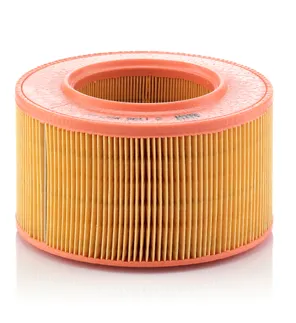 MANN FILTER Air Filter - 025129620A