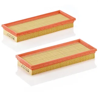 MANN FILTER Air Filter - 1120940404