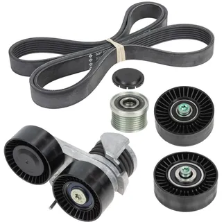 INA Accessory Drive Belt Kit - 5293204100