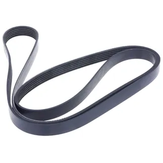 INA Alternator Serpentine Belt - 11287628650