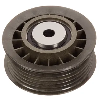 INA Accessory Drive Belt Idler Assembly - 6012001070