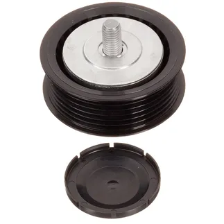 INA Accessory Drive Belt Idler Pulley - 11287509508
