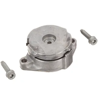 INA Accessory Drive Belt Tensioner - 037903315C