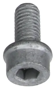 CRP Lower Door Hinge Bolt - N10303607