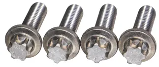 CRP Power Steering Pump Bolt Kit - 32420392609