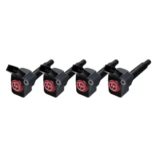 Ignition Projects by Okada: PLASMA DIRECT Ignition Coils