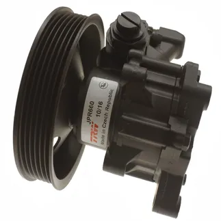 TRW Power Steering Pump - 0024669701