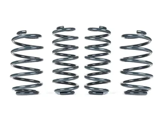 Racingline Sports Spring Kit For B9 Audi S4