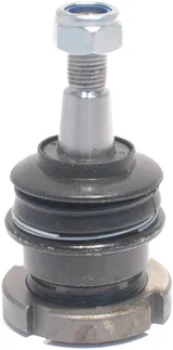 Delphi Front Lower Suspension Ball Joint - 1633300135